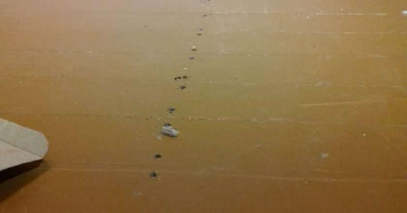 Стоит ли убирать деревянный пол в квартире