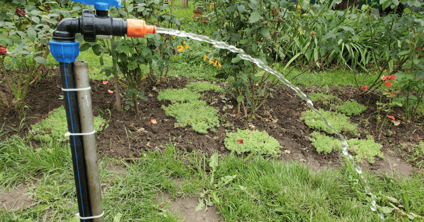 Я – летний водопровод